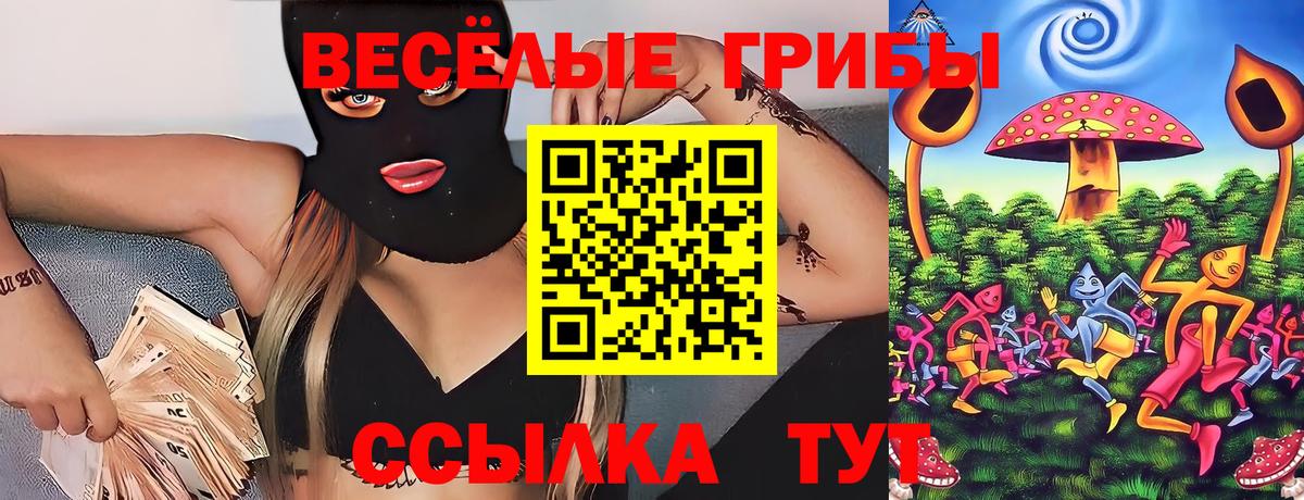 наркотики  Псилоцибиновые грибы Psilocybe  Вход с VPN  Шадринск 